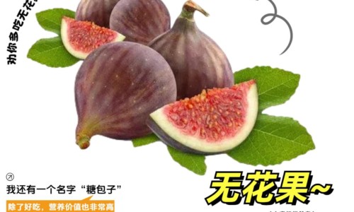 宝花宝果的药-宝花奇草功效网 - 为你提供宝花宝果的药、宝塚花组七彩