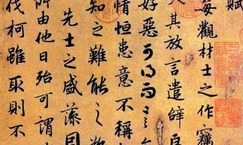 宝花是什么中药-宝花奇草功效网 - 为你提供宝花宝果的药、宝塚花组七彩