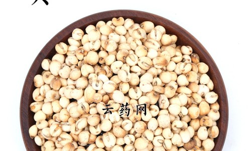 宝花奇草功效网 - 为你提供宝花宝果的药、宝塚花组七彩